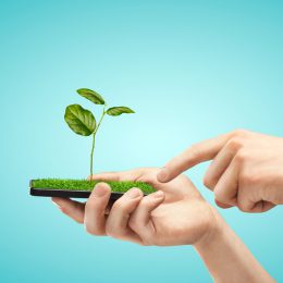 Fusce posuere tincidunt